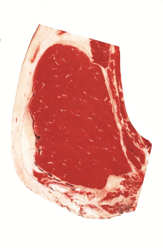 USDA reference photo: Small marbling, minimum of the degree
