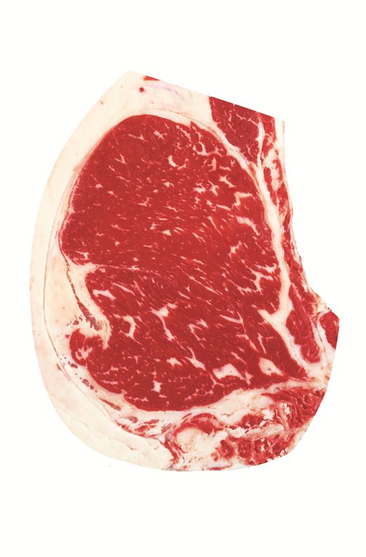 USDA reference photo: Slightly Abundant marbling, minimum of the degree